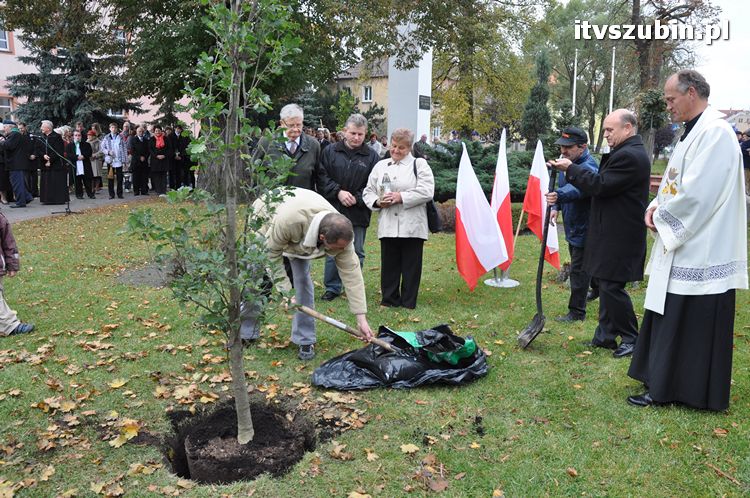 Dąb Pamięci posadzony