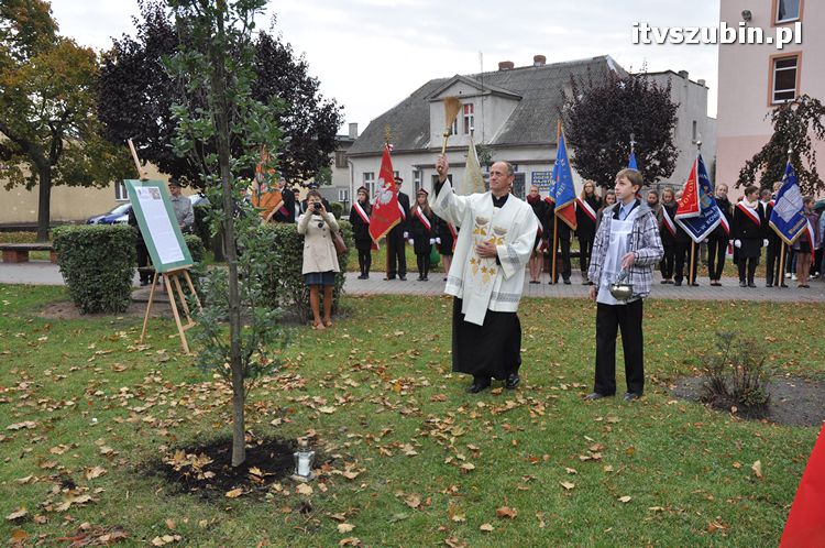 Dąb Pamięci posadzony