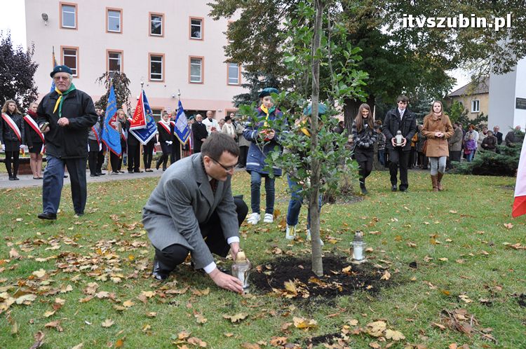 Dąb Pamięci posadzony