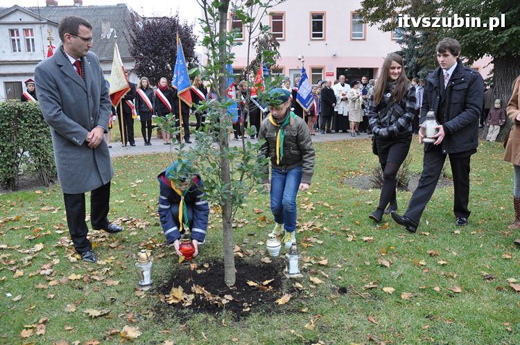 Dąb Pamięci posadzony