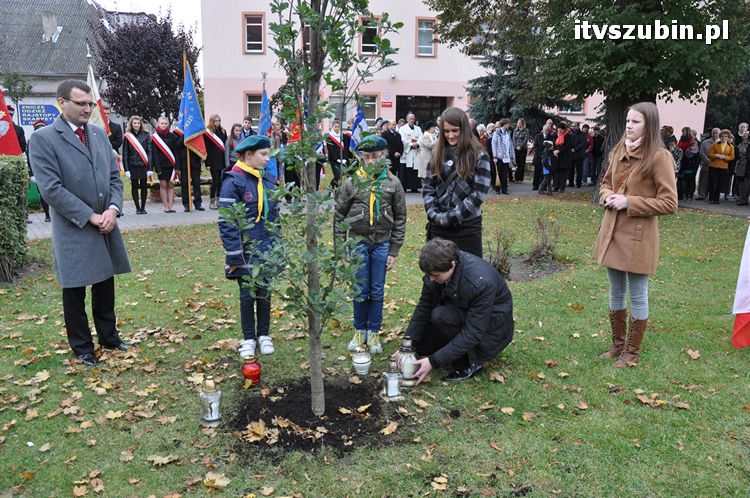 Dąb Pamięci posadzony