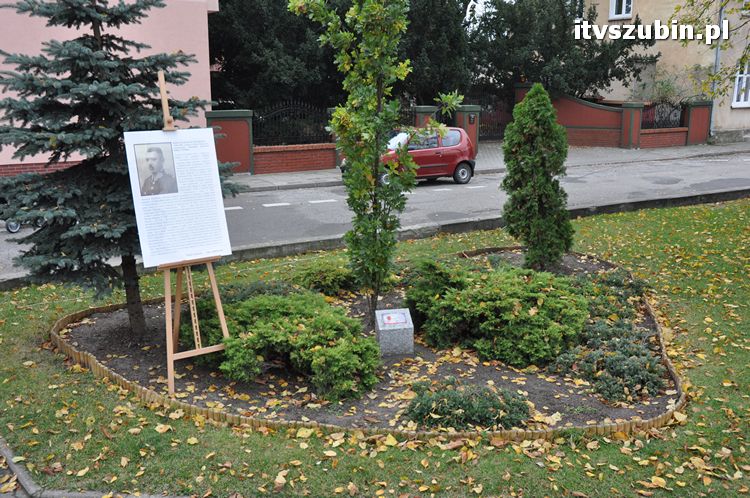 Dąb Pamięci posadzony