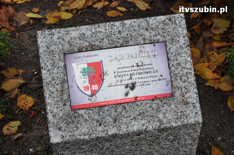 Dąb Pamięci posadzony