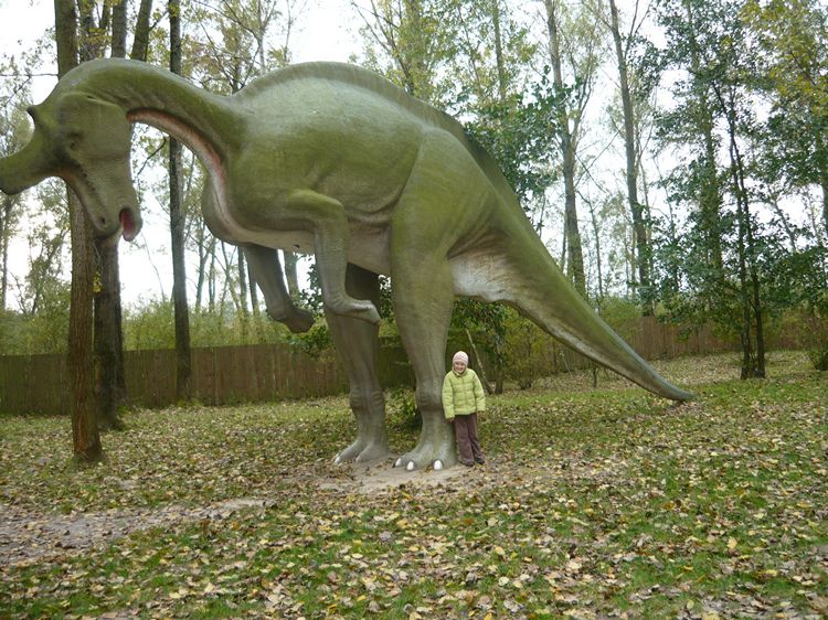 Z wizytą u dinozaurów w rogowskim parku