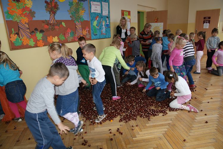 Kasztanowa dolina w szubińskiej dwójce