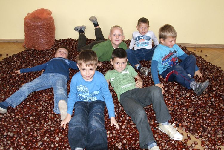 Kasztanowa dolina w szubińskiej dwójce