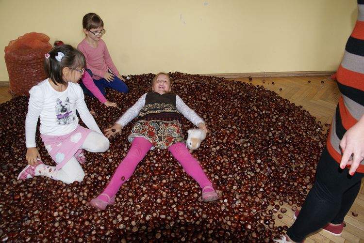 Kasztanowa dolina w szubińskiej dwójce