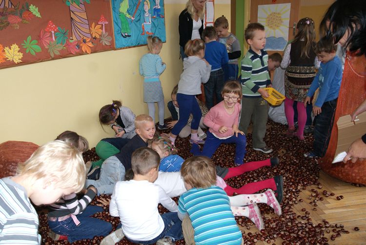 Kasztanowa dolina w szubińskiej dwójce
