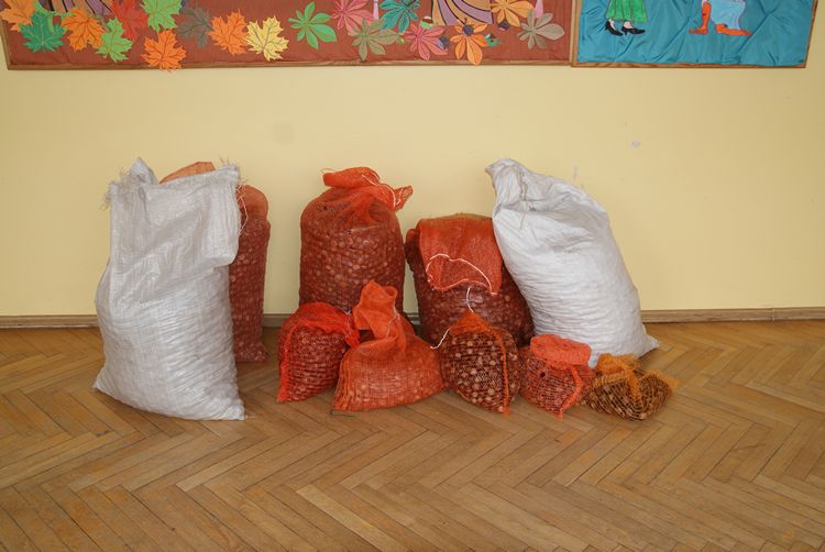 Kasztanowa dolina w szubińskiej dwójce