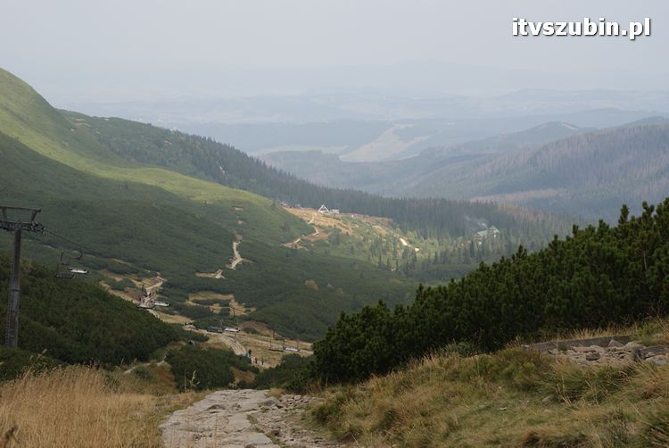 Dziękujemy za udzielone wsparcie przy projekcie 