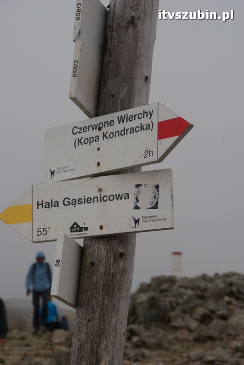 Dziękujemy za udzielone wsparcie przy projekcie 
