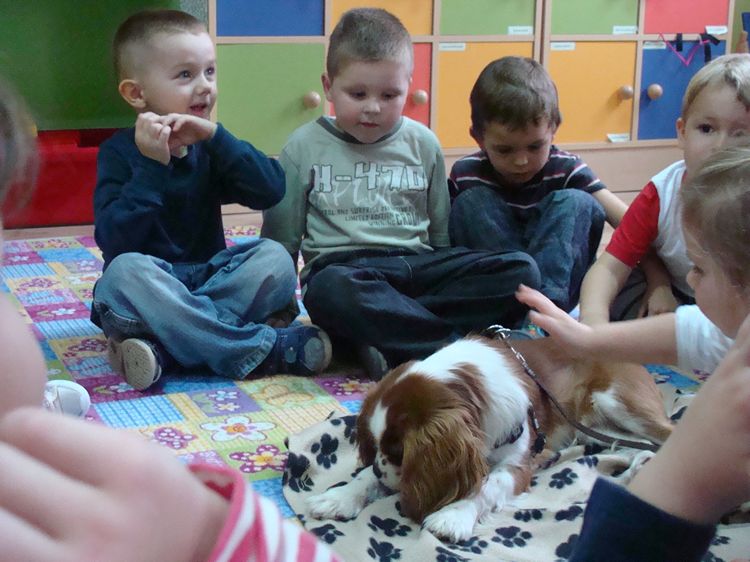 Zajęcia kynoterapeutyczne w szubińskim Słoneczku