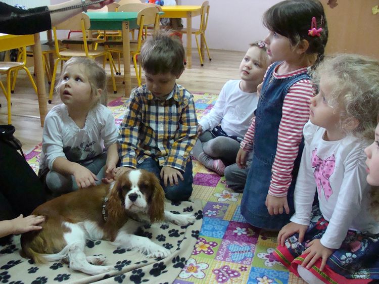 Zajęcia kynoterapeutyczne w szubińskim Słoneczku