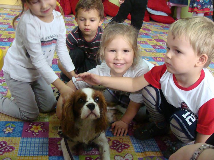 Zajęcia kynoterapeutyczne w szubińskim Słoneczku