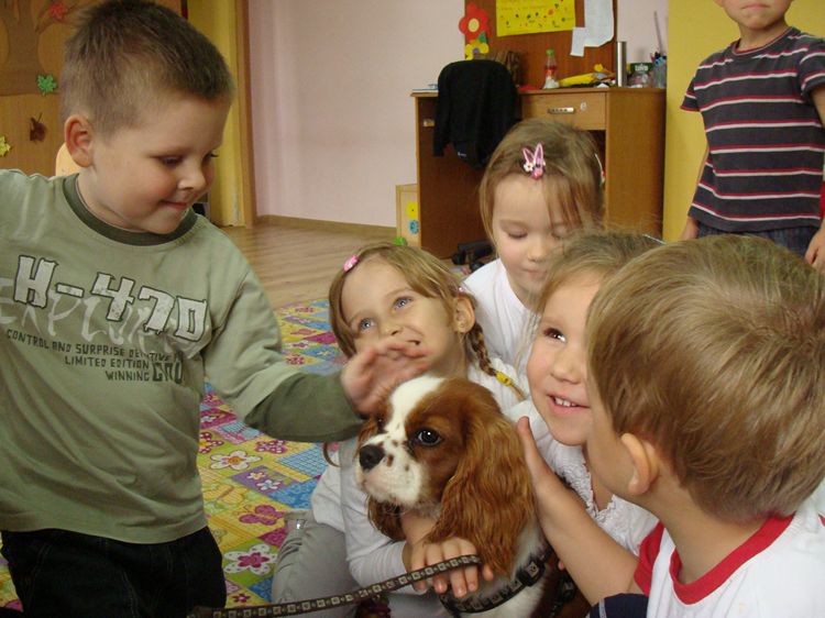 Zajęcia kynoterapeutyczne w szubińskim Słoneczku