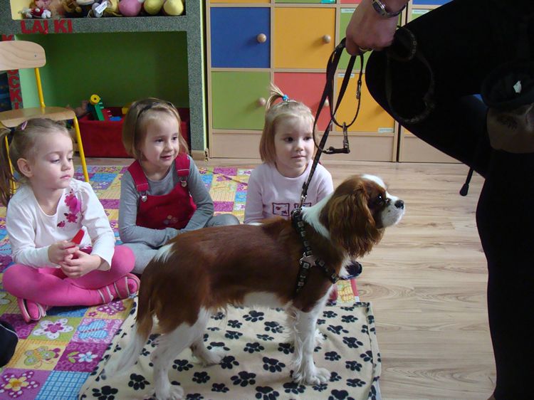 Zajęcia kynoterapeutyczne w szubińskim Słoneczku