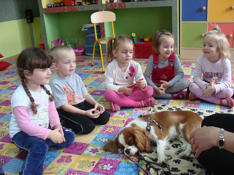 Zajęcia kynoterapeutyczne w szubińskim Słoneczku
