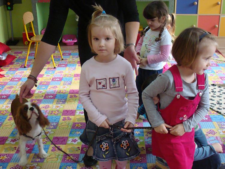 Zajęcia kynoterapeutyczne w szubińskim Słoneczku