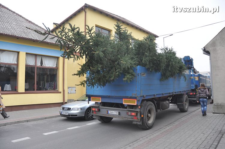 Kilkumetrowa choinka stanęła na szubińskim rynku