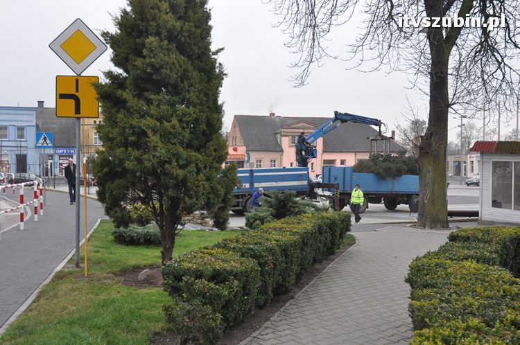 Kilkumetrowa choinka stanęła na szubińskim rynku