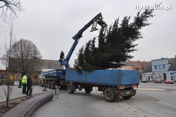 Kilkumetrowa choinka stanęła na szubińskim rynku
