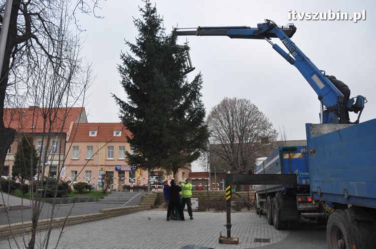Kilkumetrowa choinka stanęła na szubińskim rynku