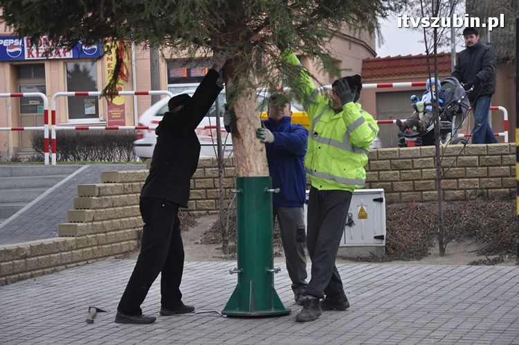 Kilkumetrowa choinka stanęła na szubińskim rynku