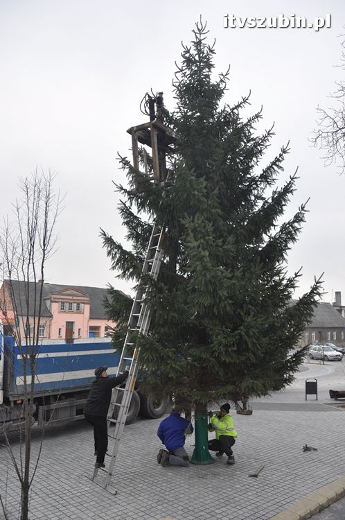 Kilkumetrowa choinka stanęła na szubińskim rynku