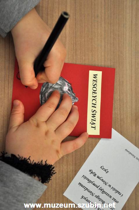 Motylki w szubińskim muzeum