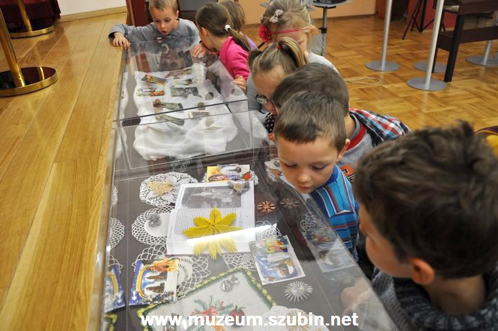 Motylki w szubińskim muzeum