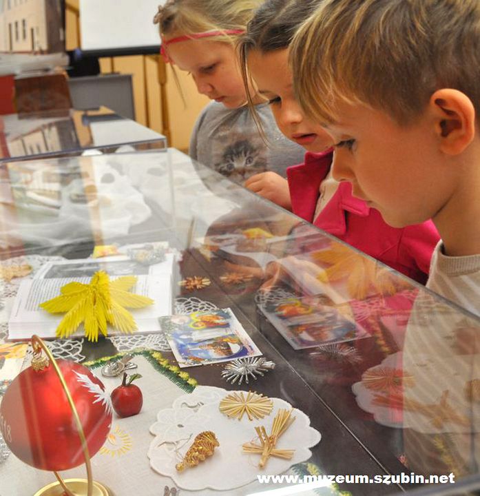Motylki w szubińskim muzeum