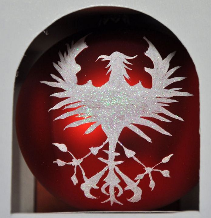 Motylki w szubińskim muzeum