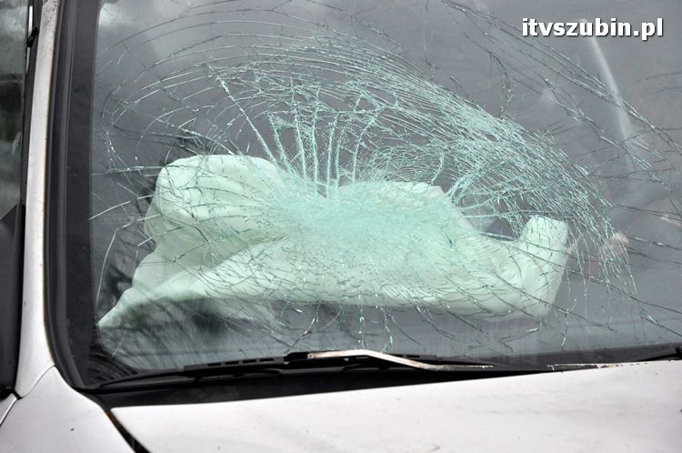 Zdarzenie drogowe na krajowej piątce