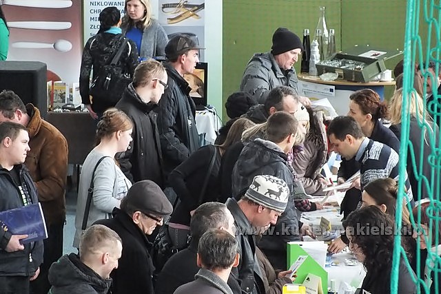 III Targi Pracy i Przedsiębiorczości odbyły się w Nakle nad Notecią [FILM]