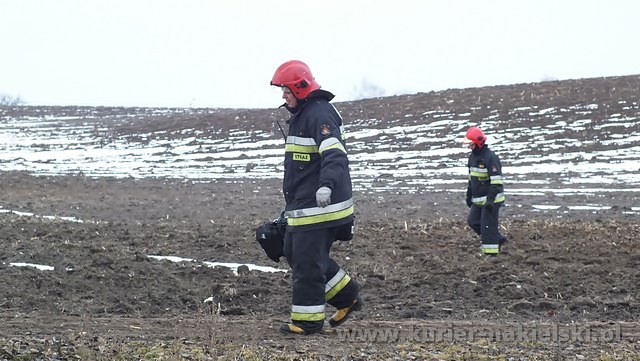 Dachowanie pod Olszewką gmina Nakło