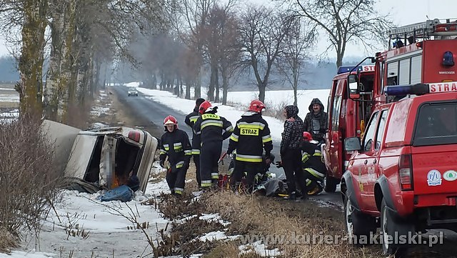 Dachowanie pod Olszewką gmina Nakło