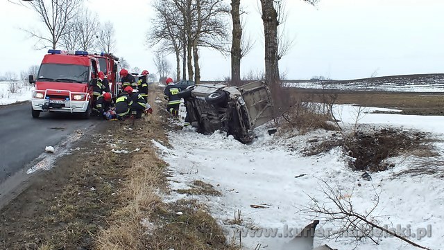 Dachowanie pod Olszewką gmina Nakło