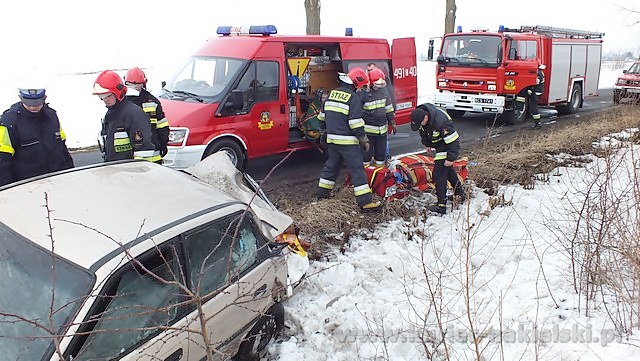 Dachowanie pod Olszewką gmina Nakło