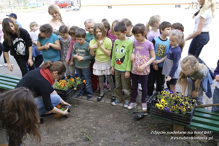 Przedszkolaki i gimnazjaliści wspólnie sadzili kwiatki