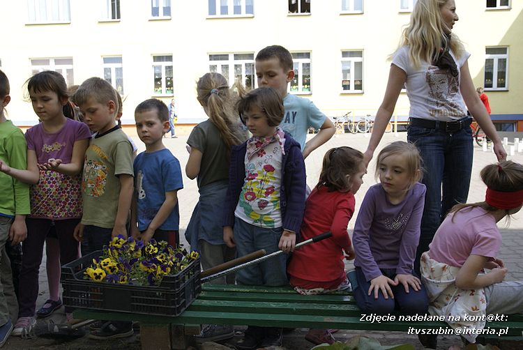Przedszkolaki i gimnazjaliści wspólnie sadzili kwiatki