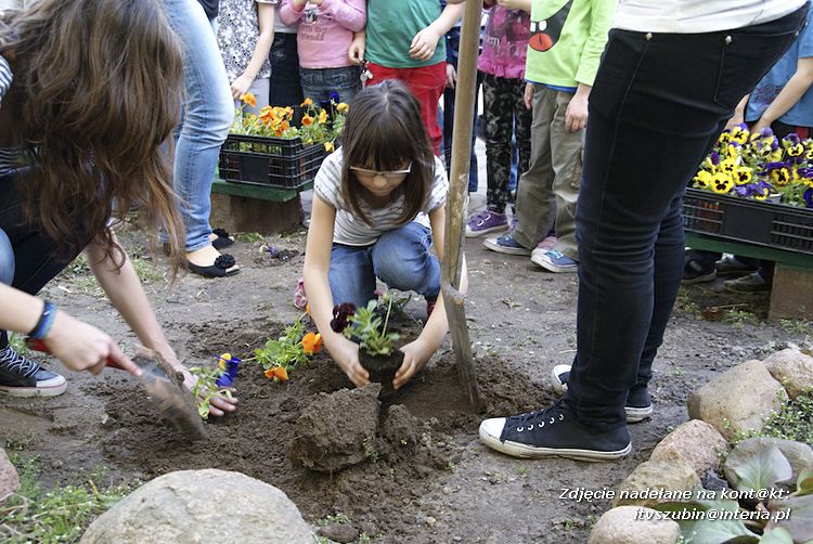 Przedszkolaki i gimnazjaliści wspólnie sadzili kwiatki