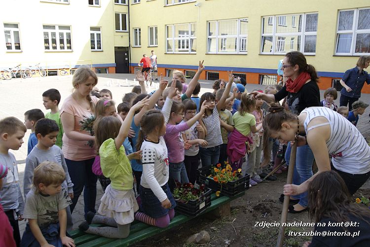 Przedszkolaki i gimnazjaliści wspólnie sadzili kwiatki