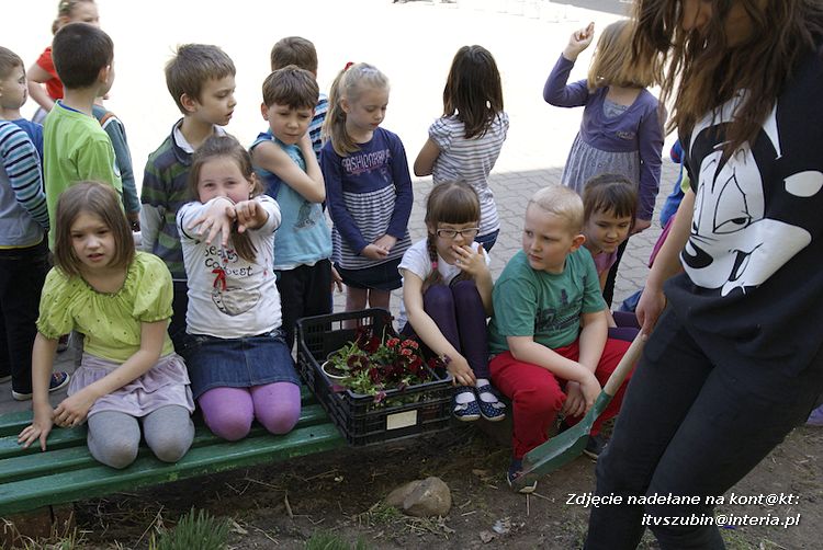 Przedszkolaki i gimnazjaliści wspólnie sadzili kwiatki