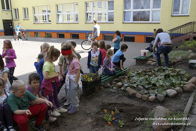 Przedszkolaki i gimnazjaliści wspólnie sadzili kwiatki