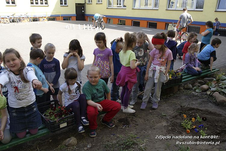 Przedszkolaki i gimnazjaliści wspólnie sadzili kwiatki