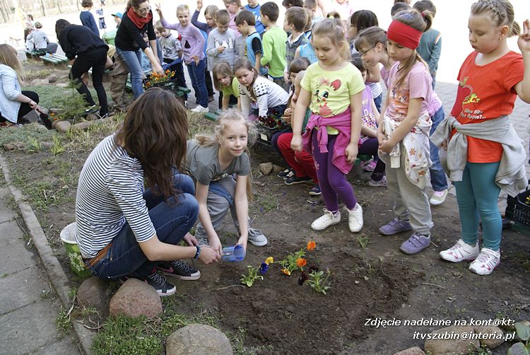 Przedszkolaki i gimnazjaliści wspólnie sadzili kwiatki
