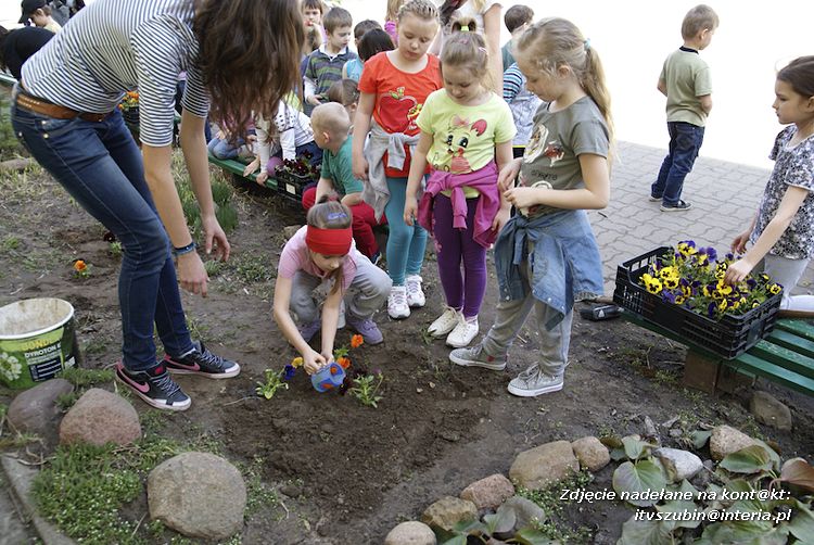 Przedszkolaki i gimnazjaliści wspólnie sadzili kwiatki