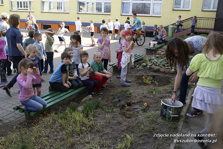 Przedszkolaki i gimnazjaliści wspólnie sadzili kwiatki