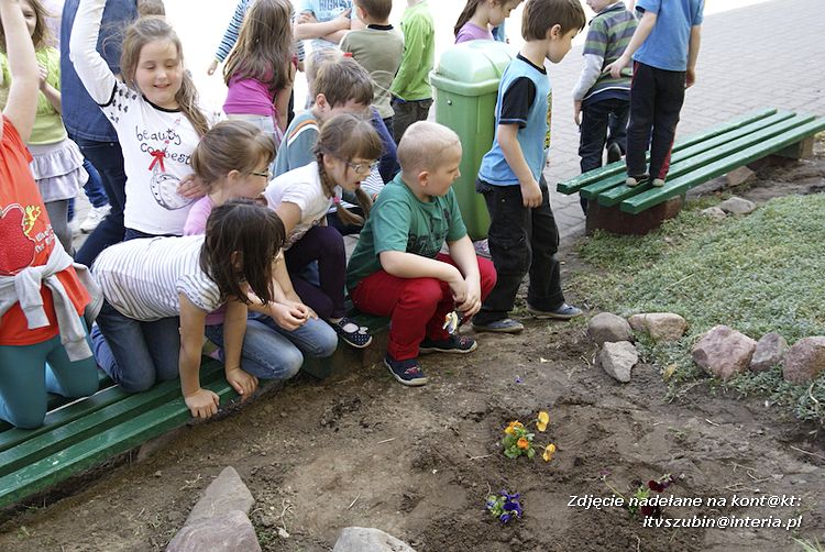 Przedszkolaki i gimnazjaliści wspólnie sadzili kwiatki