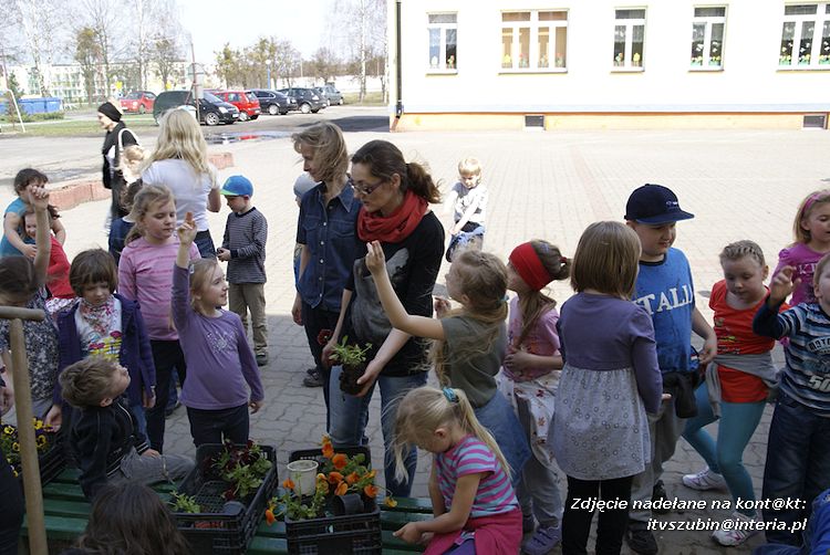 Przedszkolaki i gimnazjaliści wspólnie sadzili kwiatki